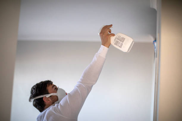 Best DIY Mold Remediation Support Services in New London, MN