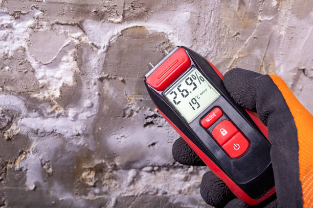 Best Health and Safety Mold Remediation in New London, MN